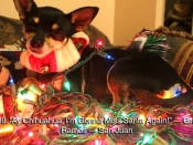 139. Ay Chihuahua, I\'m Gonna Miss Santa Again!