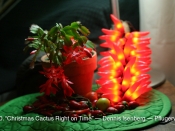 140. Christmas Cactus Right on Time