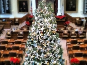 143. Capitol House Christmas Tree