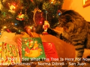125. Ooh! I See What This Tree Is For Now! Meowy Christmas!