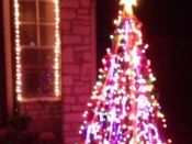070. Wishing Y'All a Blur Of De-Light This Holiday Season!