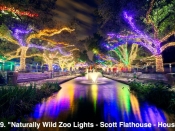 149. Naturally Wild Zoo Lights