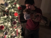 126. My '3rd Christmas' with My Forever Family (Shelter Kitty)