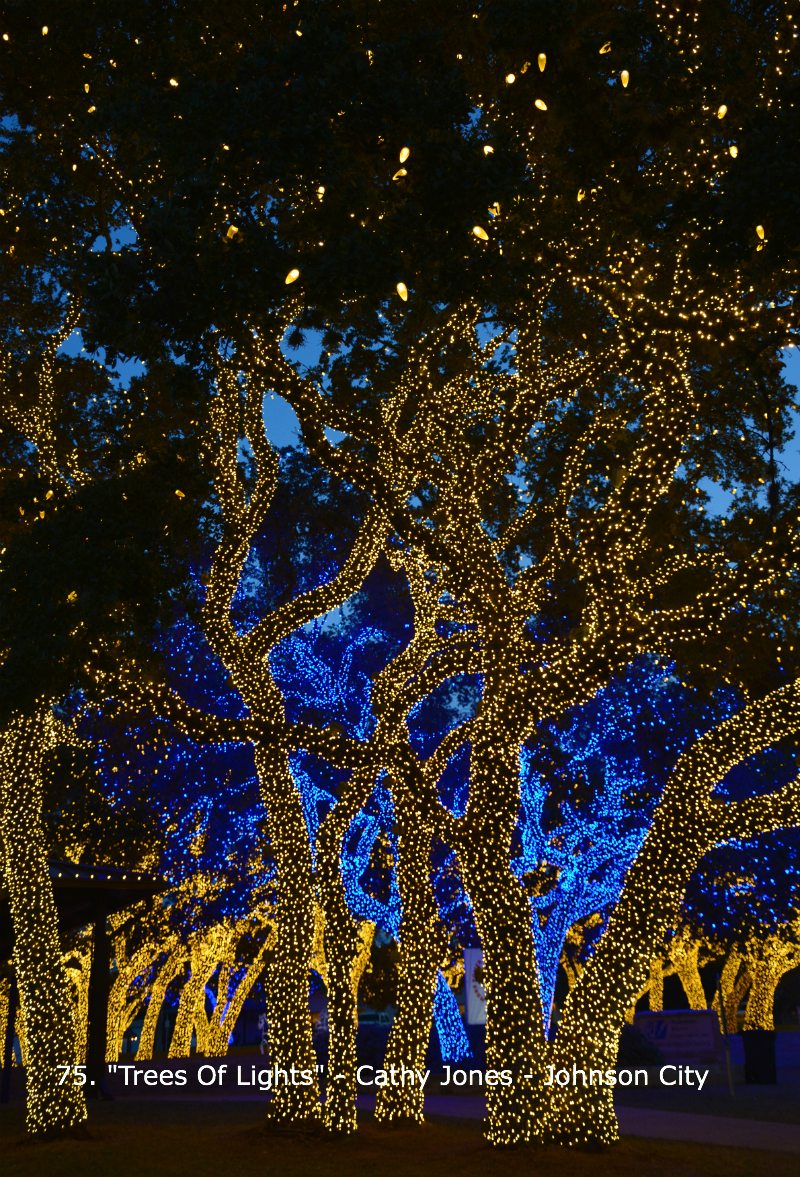 Trees Of Lights